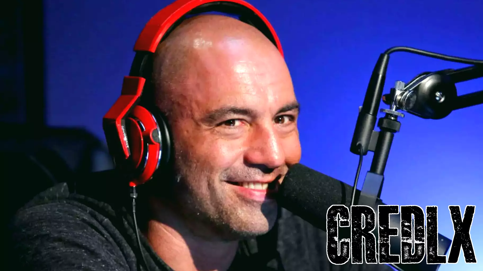 Joe Rogan Shares Insights on Achieving True Financial Freedom